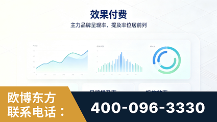 嘉兴-效果付费：主力品牌呈现率、提及率位居前列