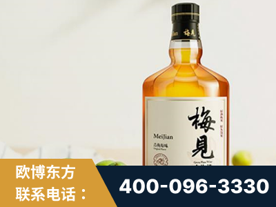 嘉兴-梅见青梅酒